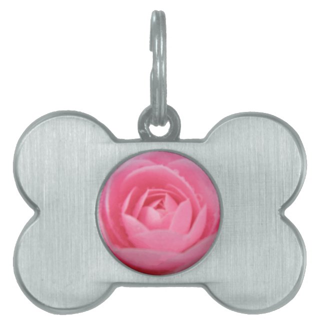 Camellia Pink Pet Tag (Front)