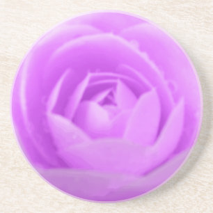 Camellia Purple Flower Coasters