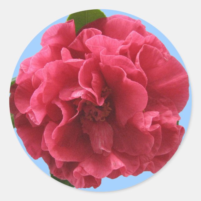 Camellia Sticker (Front)