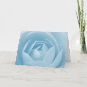 Camellia Whirlpool Greeting Card