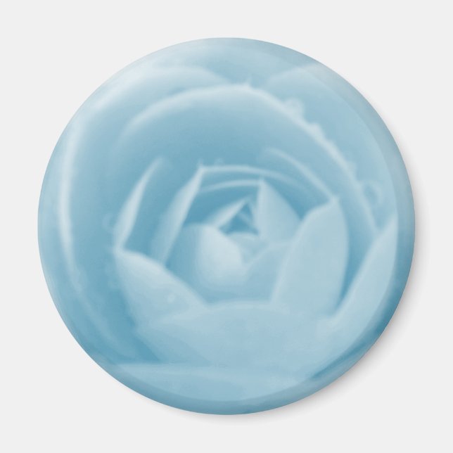 Camellia Whirlpool Magnet (Front)