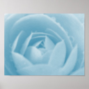 Camellia Whirlpool Print