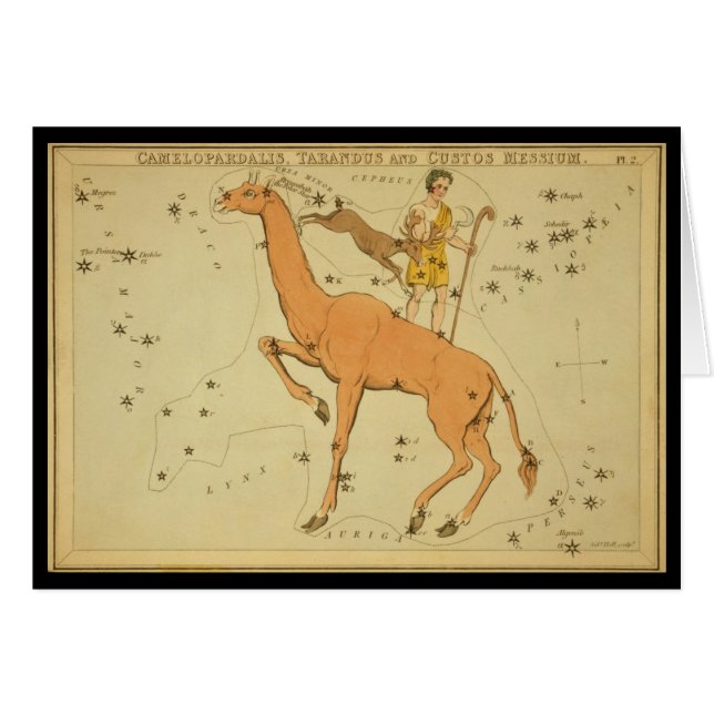 Camelopardalis, Tarandus and Custos Messium (Front Horizontal)