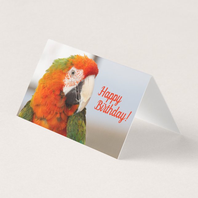 Camelot Macaw Happy Birthday Card (Front)
