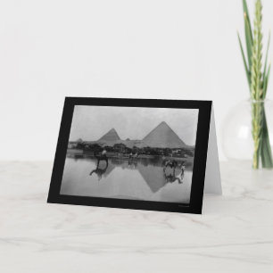 Camels and Pyramids in Egypt 1899 Card