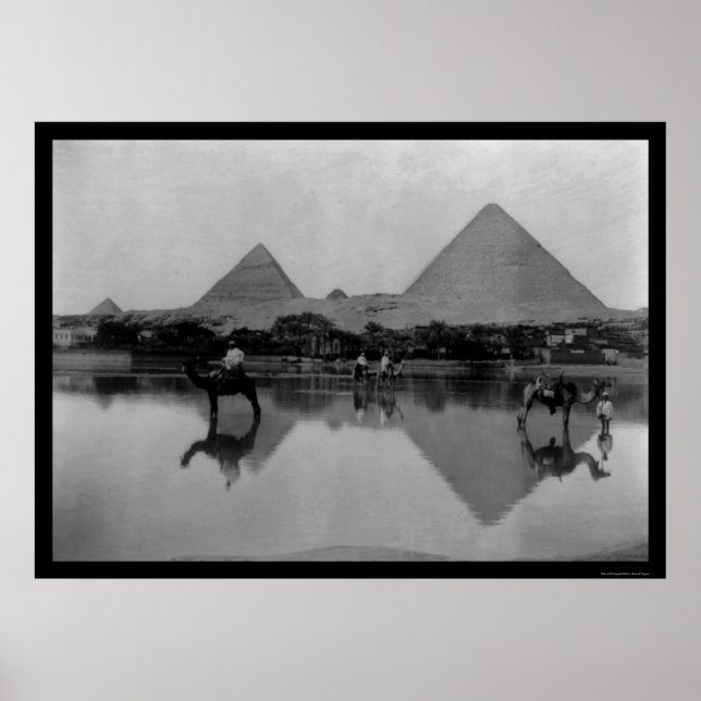 Camels and Pyramids in Egypt 1899 Poster (Front)