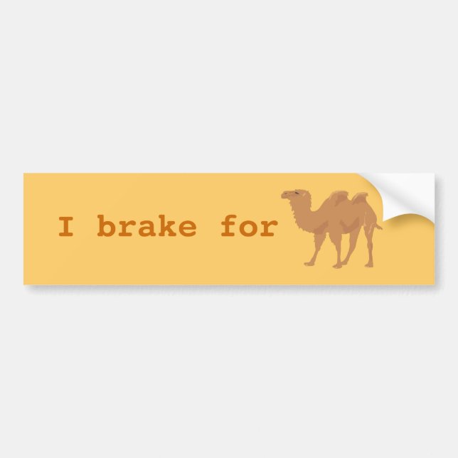 Camels Bumper Sticker (Front)