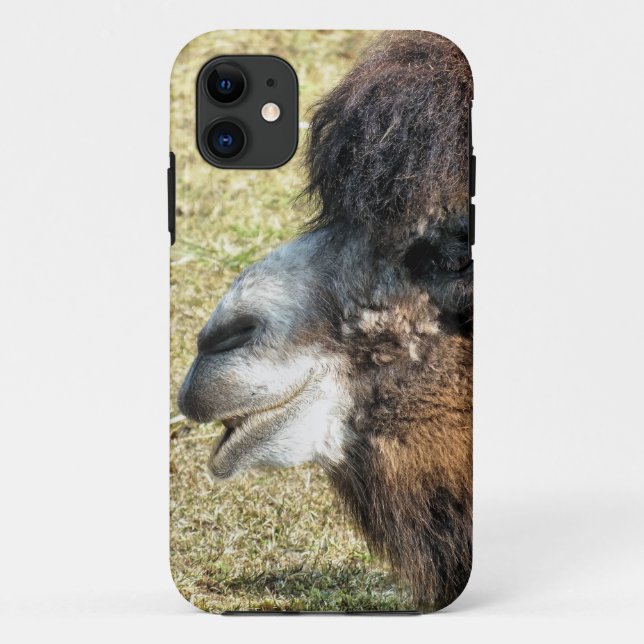 CAMELS Case-Mate iPhone CASE (Back)