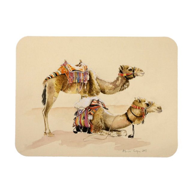 Camels from Petra 2007 Magnet (Horizontal)