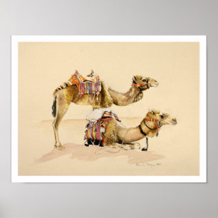 Camels from Petra 2007 Poster