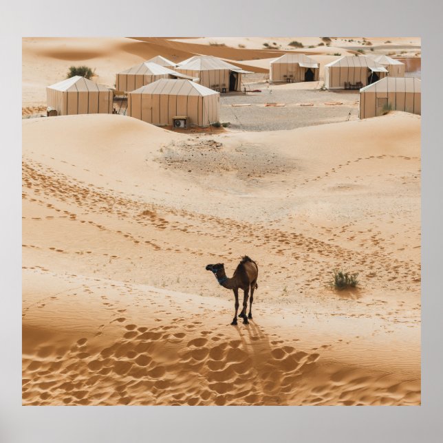 Camels Glamping: Moroccan Desert Luxury Poster (Front)