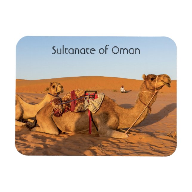 Camels in Oman desert Magnet (Horizontal)