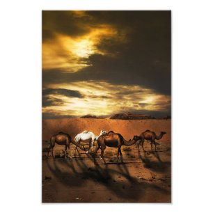 Camels in the desert photo print
