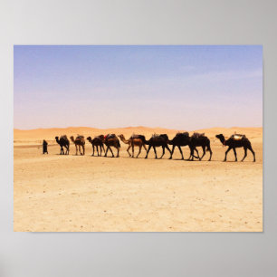 Camels in the desert poster