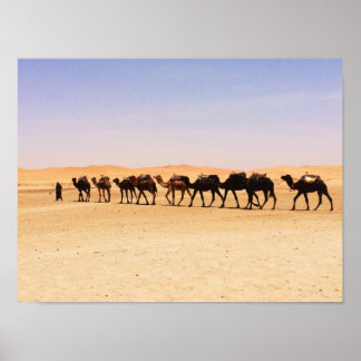 Camels in the desert poster