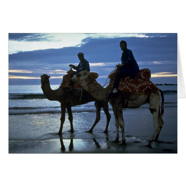 Camels, Morocco (Front Horizontal)