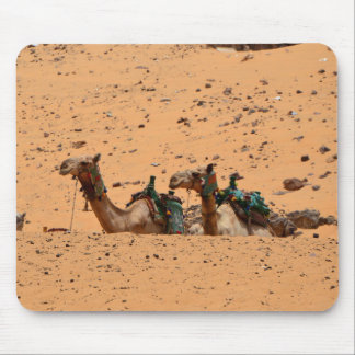 Camels mouse pad