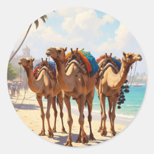 Camels on the beach in Mombasa Kenya Classic Round Sticker