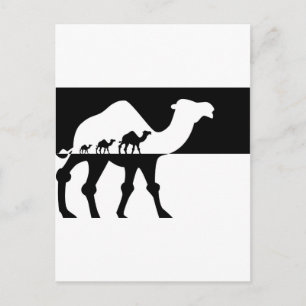 Camels Postcard