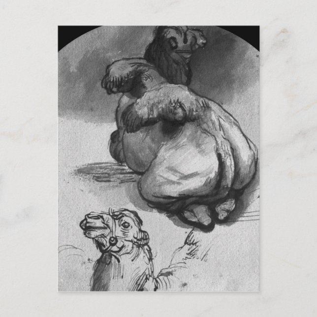 Camels Postcard (Front)