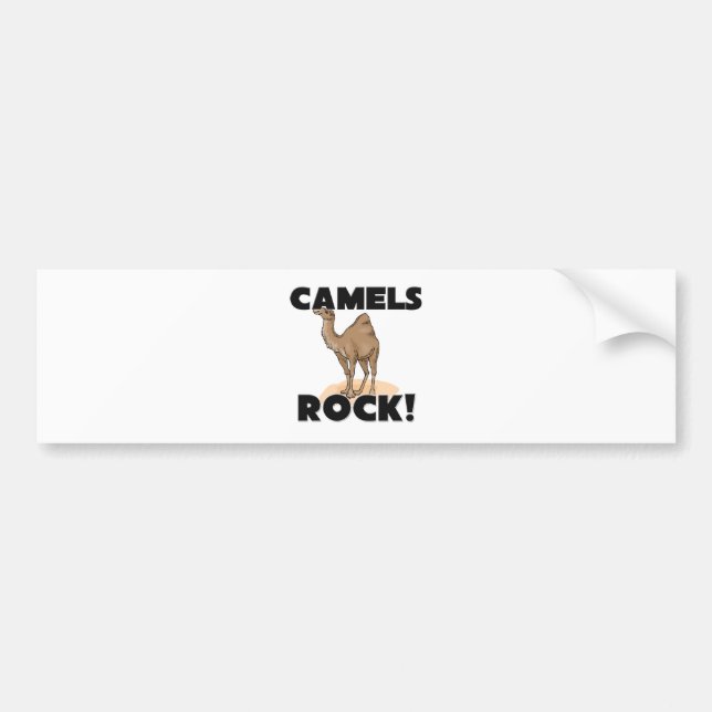 Camels Rock Bumper Sticker (Front)