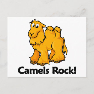 Camels Rock! Postcard