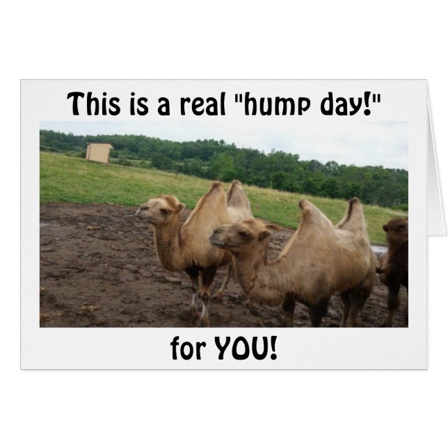 CAMELS SAY "HUMP DAY FOR YOU AT 40" (Front Horizontal)