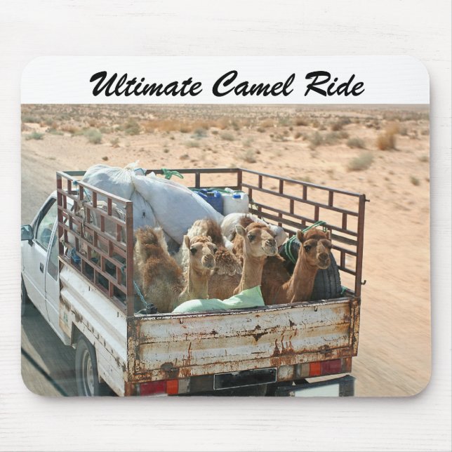 Camels Shooting the Breeze in The Sahara Mousepad (Front)