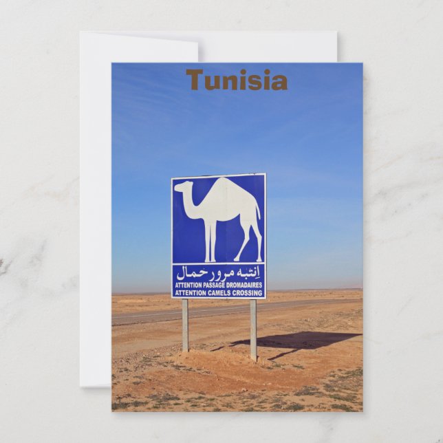 Camels sign, Tunisia, card (Front)