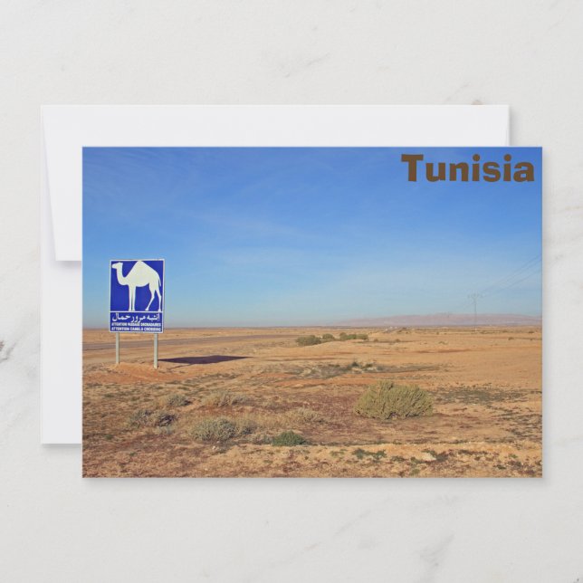 Camels sign, Tunisia card (Front)