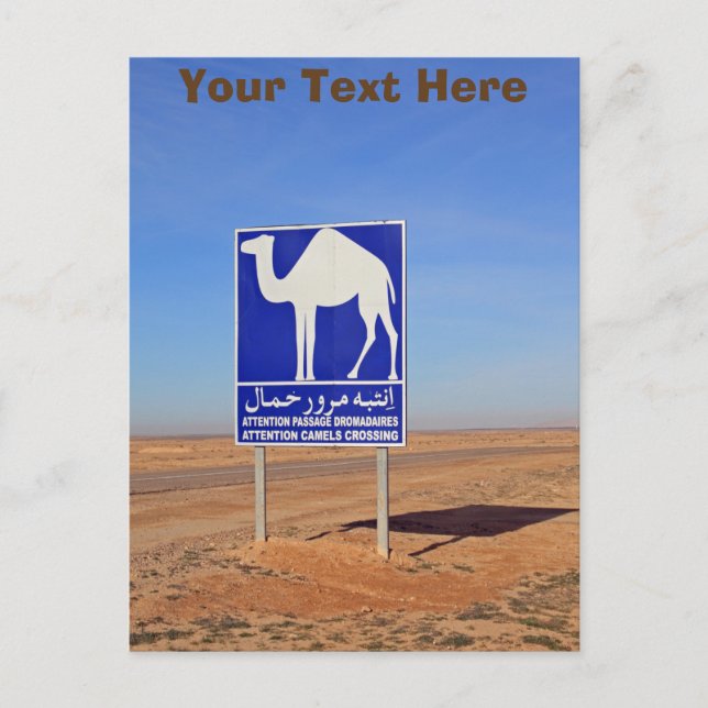 Camels sign, Tunisia customizable Postcard (Front)