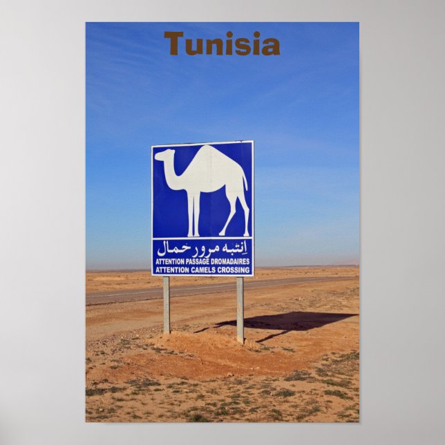 Camels sign, Tunisia Poster (Front)