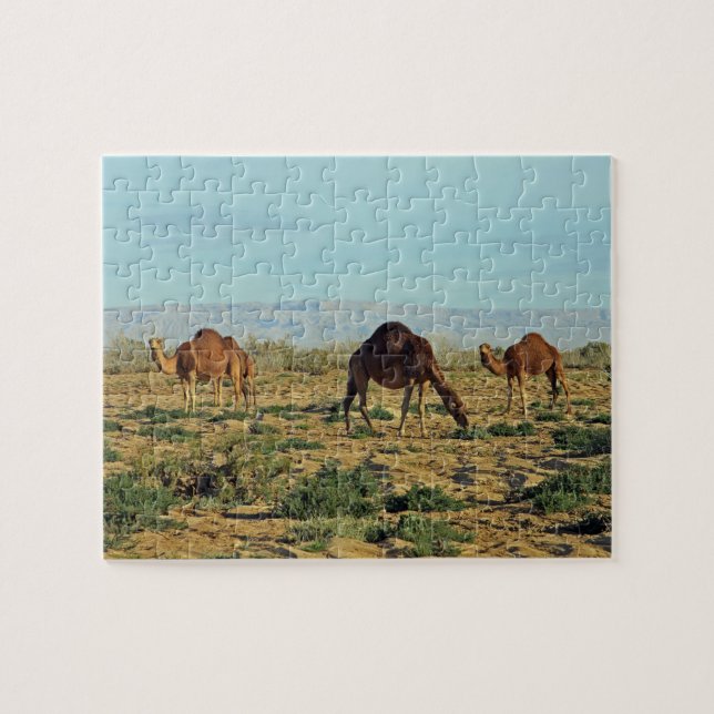 Camels, Tunisia Jigsaw Puzzle (Horizontal)