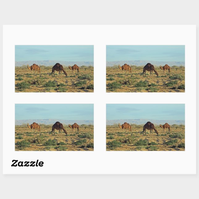 Camels, Tunisia Rectangular Sticker (Sheet)
