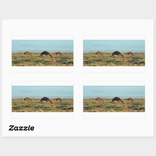 Camels, Tunisia Rectangular Sticker