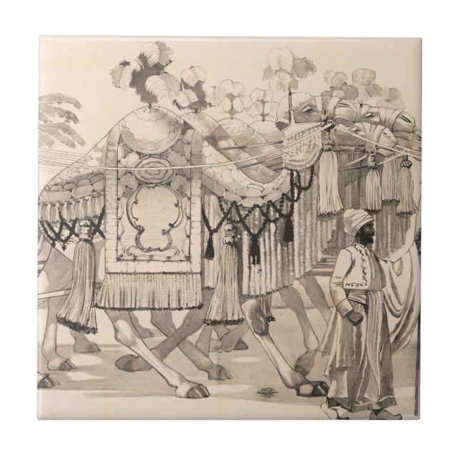 Camels Walking Dressed In Costume Ceramic Tile (Front)