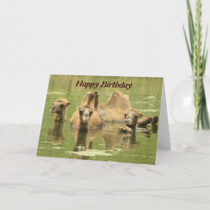 Camels Yum Card