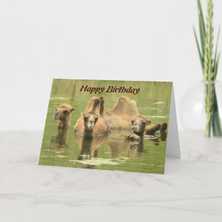 Camels Yum Card