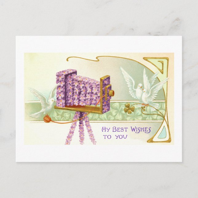 Camera and doves postcard (Front)