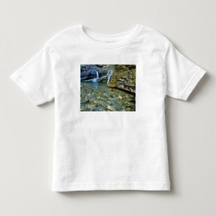 Cameron Falls in Waterton Lakes National Park in Toddler T-Shirt