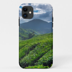 Cameron Highlands Tea Plantation iPhone 11 Case