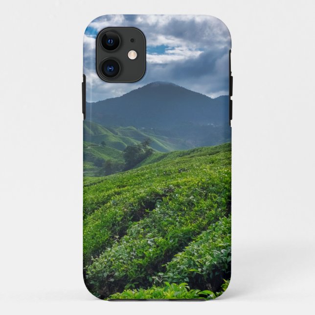 Cameron Highlands Tea Plantation Case-Mate iPhone Case (Back)