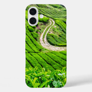 Cameron Highlands Tea Plantation iPhone 16 Plus Case