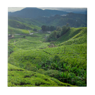 Cameron Highlands Tea Plantation Ceramic Tile