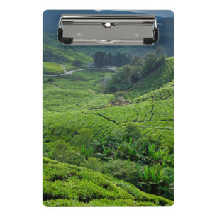 Cameron Highlands Tea Plantation Mini Clipboard