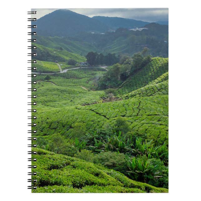 Cameron Highlands Tea Plantation Notebook (Front)