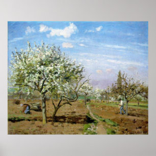 Camille Pissaro - Orchard 1872 Trees White Flowers Poster
