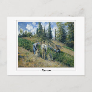 Camille Pissarro #283 - Fine Art Postcard