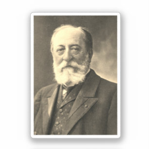 Camille Saint-Saëns (Nadar, photographer)