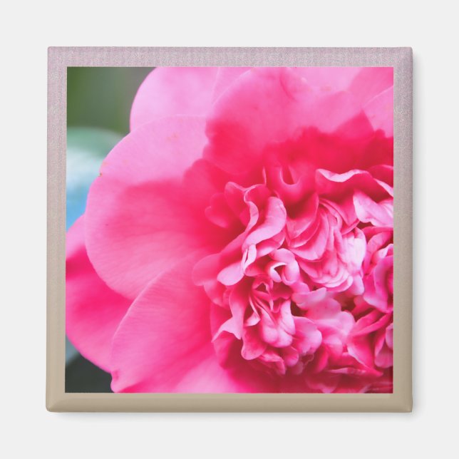 Camillia Artistic Pink Flower Magnet (Front)